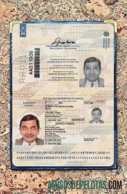 Passaporte Brasil 2022 Presente Photolook baixar para verificação